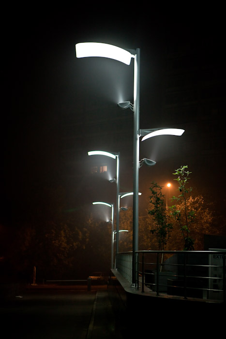 ������ ���� ���� 2010